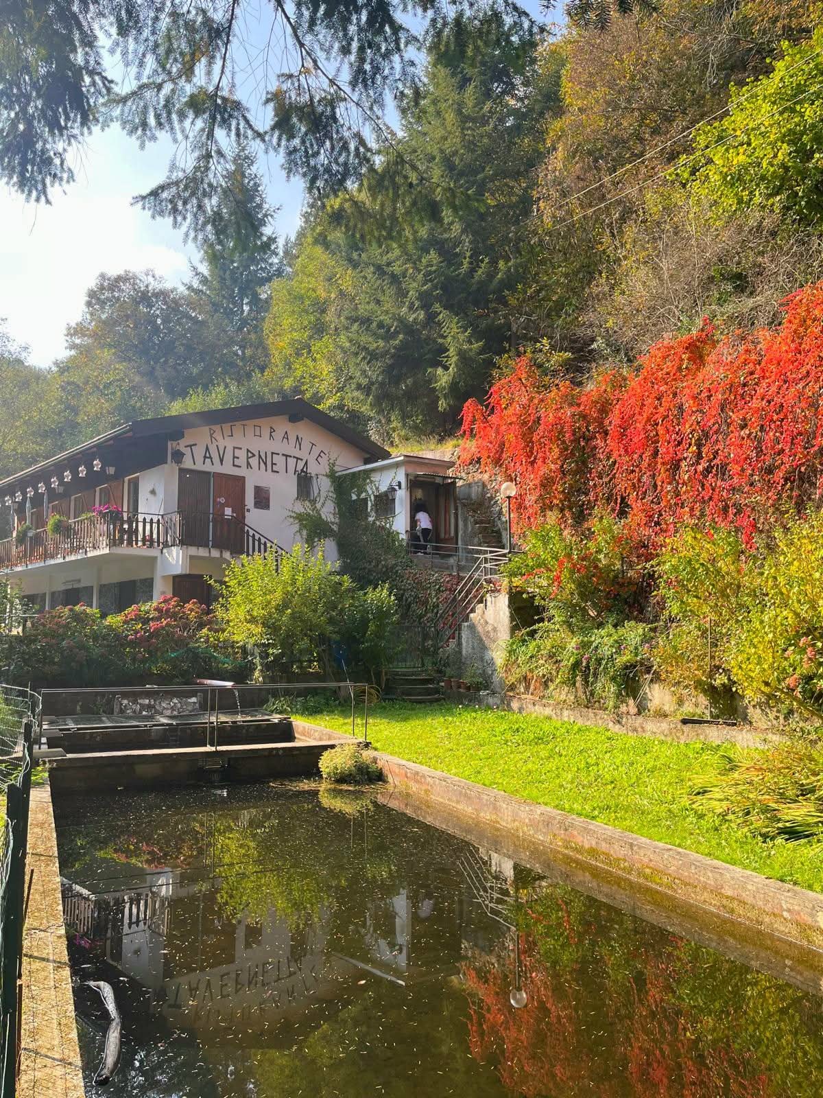 La Tavernetta Esterni 7