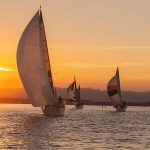 Default Avatar 2020 55 150x150